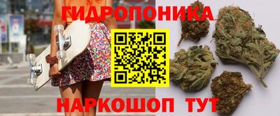 ПСИЛОЦИБИНОВЫЕ ГРИБЫ Заводоуковск