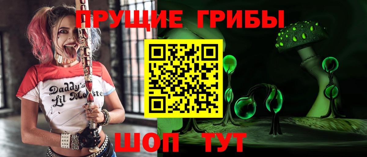 Коломна  Галлюциногенные грибы Cubensis  где найти наркотики  Вход с VPN 
