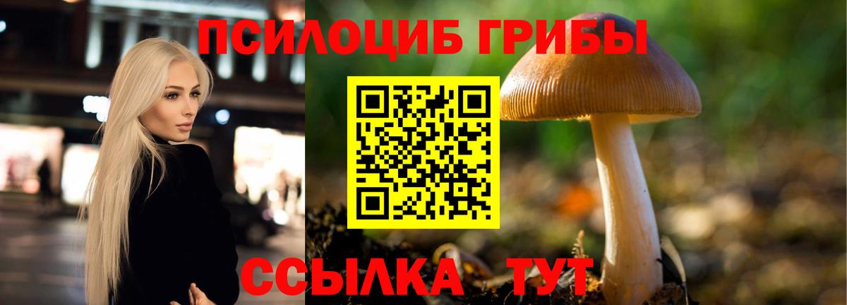 Псилоцибиновые грибы ЛСД Коломна